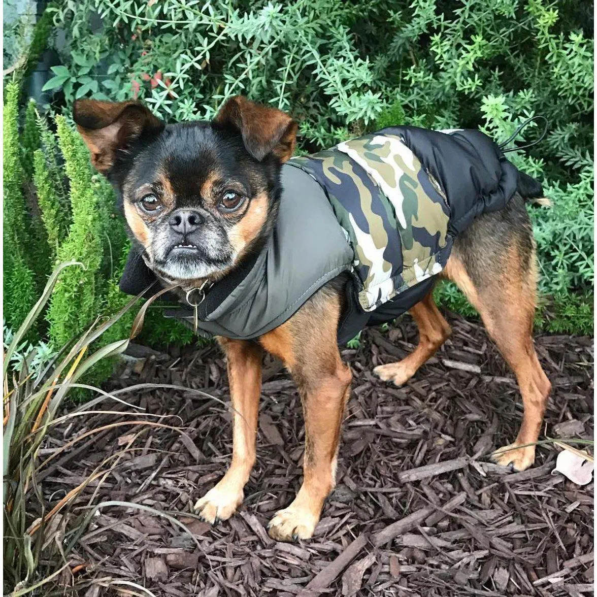 Fabdog | Camo Colour Block Dog Puffa Jacket