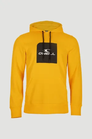 MENS CUBE HOODY